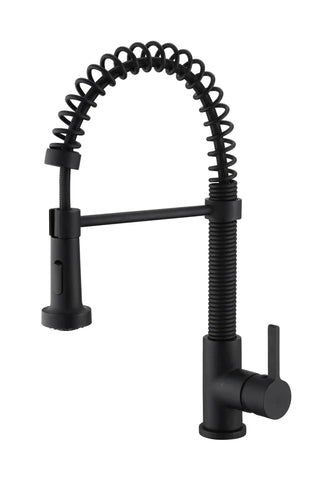 Kodaen Edison Pull-Out Dual Spray Kitchen Faucet F25133 - Bhdepot