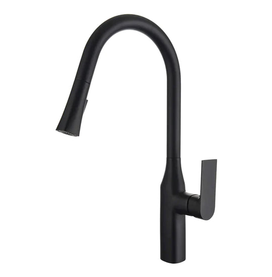 Kodaen Timelyss Pull-Down Dual Spray Kitchen Faucet F23134 - Bhdepot 