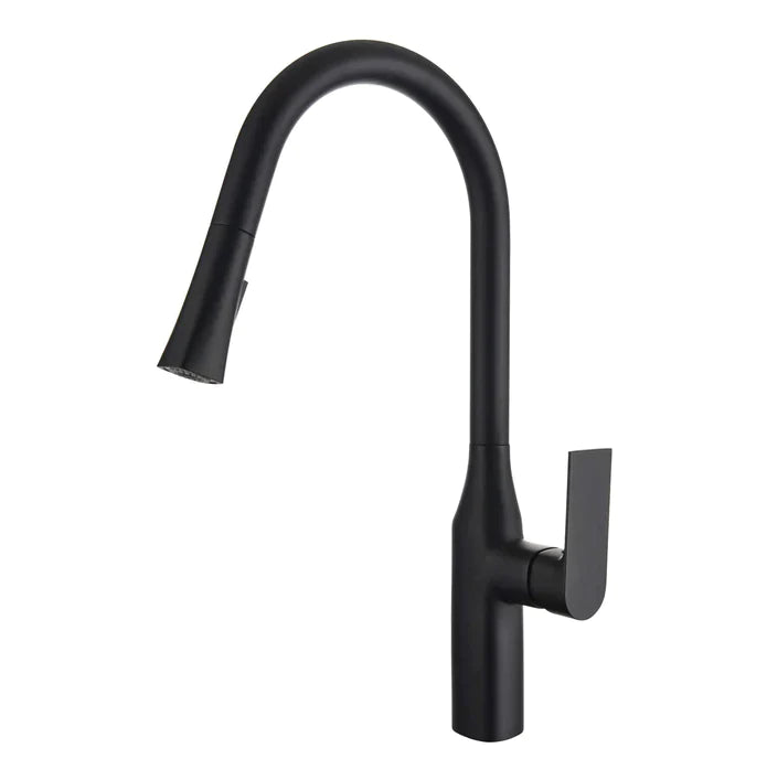 Kodaen Timelyss Pull-Down Dual Spray Kitchen Faucet F23134 - Bhdepot 