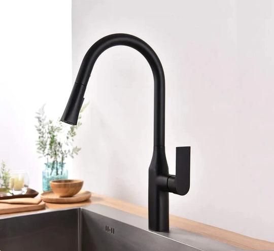 Kodaen Timelyss Pull-Down Dual Spray Kitchen Faucet F23134 - Bhdepot 