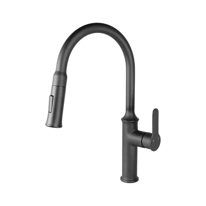 Kodaen Vuitton Pull-Down Dual Spray Kitchen Faucet F23900 - Bhdepot 