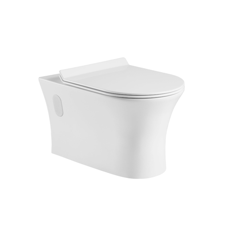 Tabora Dual Flush Wall-mount Toilet with Soft Close Seat - Bhdepot 