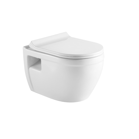 Tiguane Dual Flush Wall-mount Toilet with Soft Close Seat - Bhdepot 